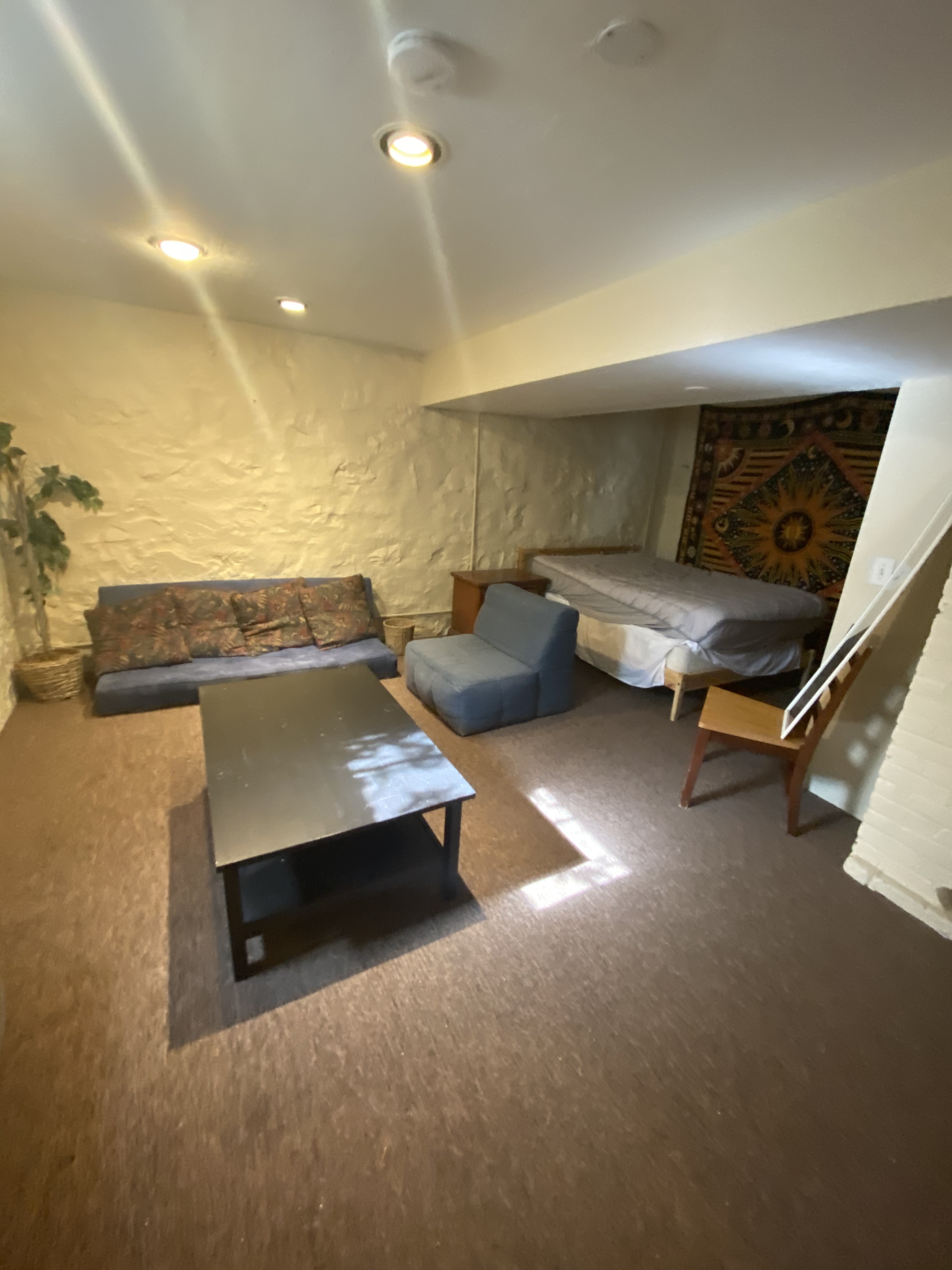 downstairsBedroom2